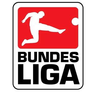 周六看德甲头像