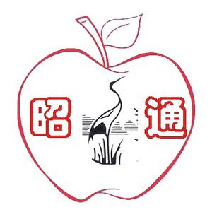 话昭头像