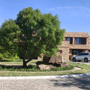 北京文冠庄园  芮敏头像