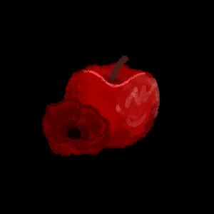 季铃兰（补药限流啊）头像