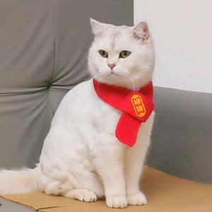 钱多多是只招财猫🐱头像