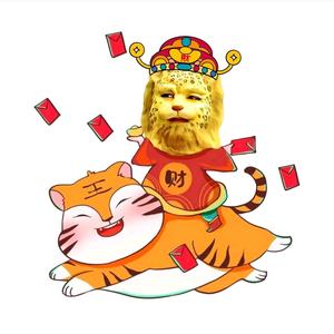 虾仁金钱豹 头像