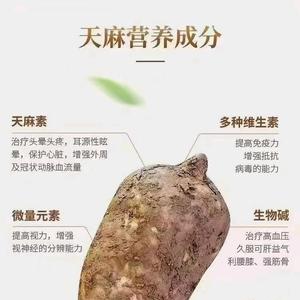 麻子哥         照通头像