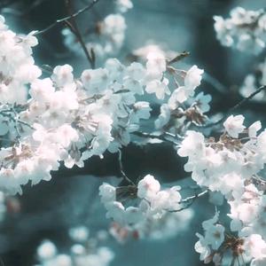 女神，不要产我对家的饭啊头像