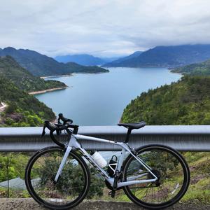 猪猪侠人间体头像