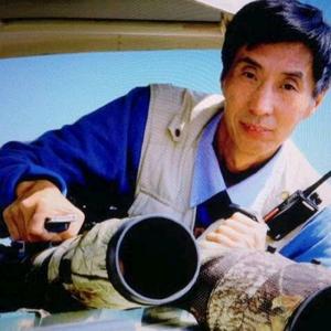 冬青工作室头像