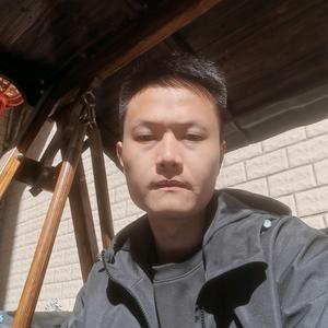 小二、上酒头像