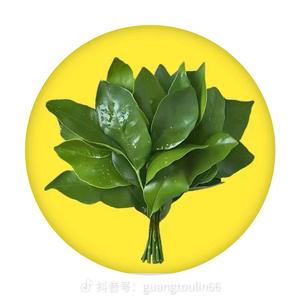 岳来越好🌻头像