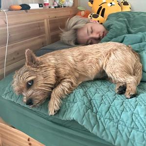 脆啵啵捏！头像