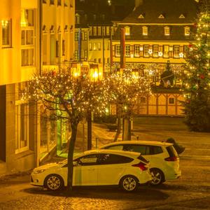 爱故事的狮子头像