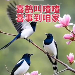 一个∵头像