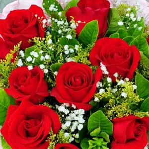 重晶石矿大号头像