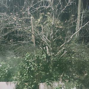 雨中漫步@的抖音 - 抖音