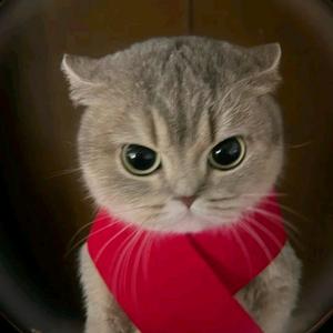 鲜榨小陈汁头像