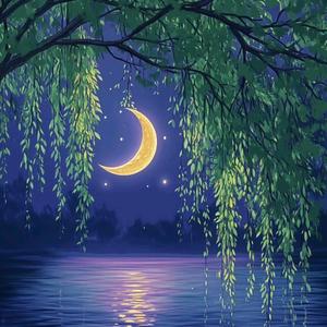 🌜月亮姐🌛头像