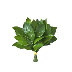 徙🌙（放空版）头像