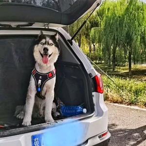 Moss是只哈士奇头像