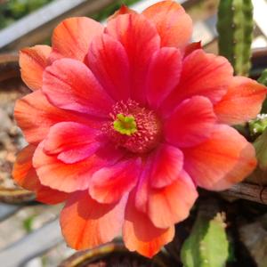 随心❤️随拍头像