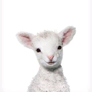 啊咩（七日世界）头像