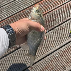 贵阳垂闲钓具小伟头像