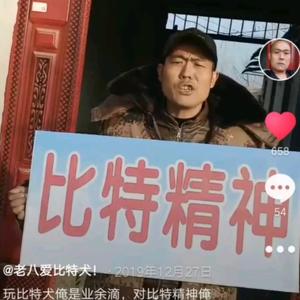 八哥比特犬头像