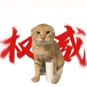 小橙子吖🍊头像