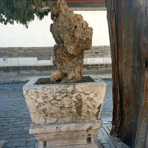 轻舞飞扬0021头像