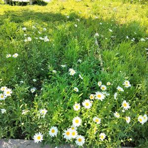 可乐和宝妈头像