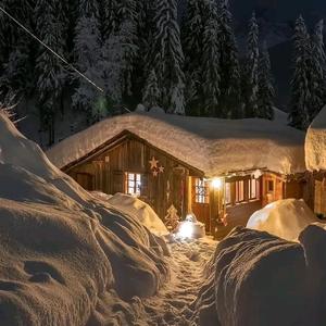 爱吃竹子的云溪头像