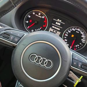 南宁狗夫论坛头像