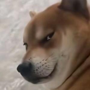 王氏煎肉饭头像