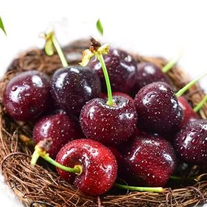 泰安陈坤精品果业批发头像