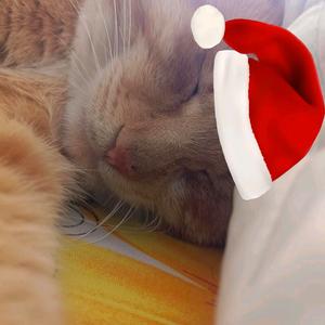 97岁老奶励志要住上4层大别野开劳斯莱斯头像