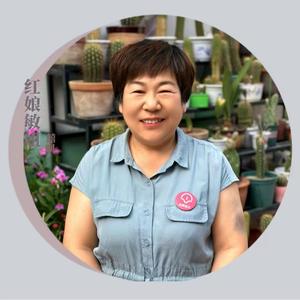 囍呗红娘敏姐头像