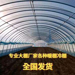 天津钢管大棚管厂家-王头像