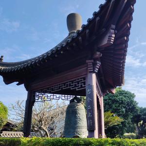 👁️🍁👁️头像