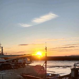 花花小白龙头像