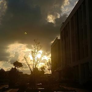 芝芝薄荷🍰头像