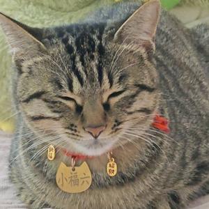 满脑子都是爆金币头像