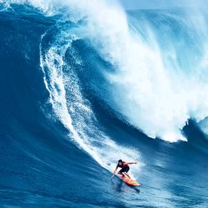 下凡冲浪者头像