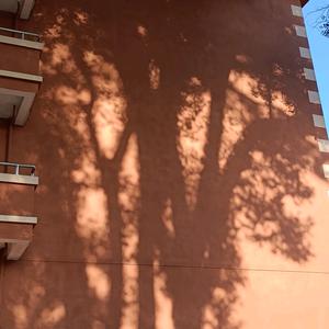 阿拉灯神丁本神💥有愿快许🧚🏻‍♀️头像