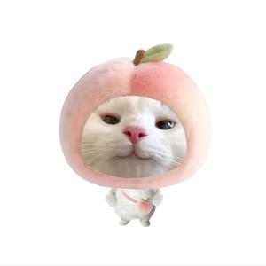 ^悲伤𝙆𝙞𝙩𝙩𝙮猫（小念）头像