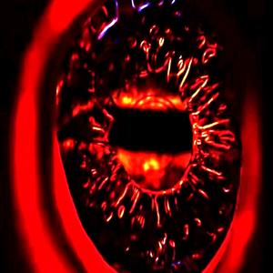 收容控制保护头像