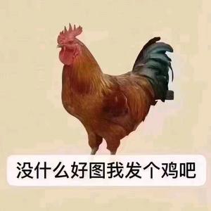 🌈🌈到处瞎溜达头像