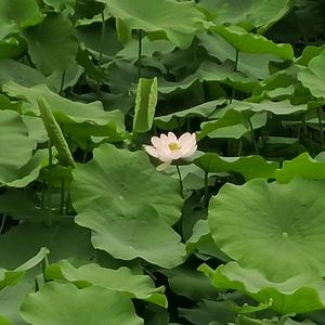 用户2433522341282头像