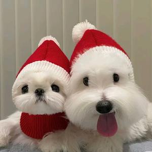 大眼萌宠汇头像