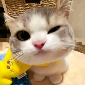 命是皆般万头像