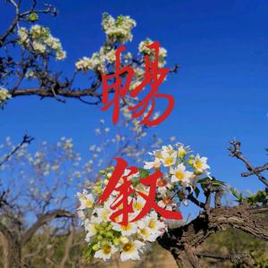 畅叙•古诗词头像