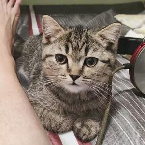 🌈有个小七七☀️头像