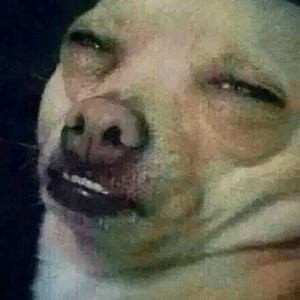 上山打老虎7777头像